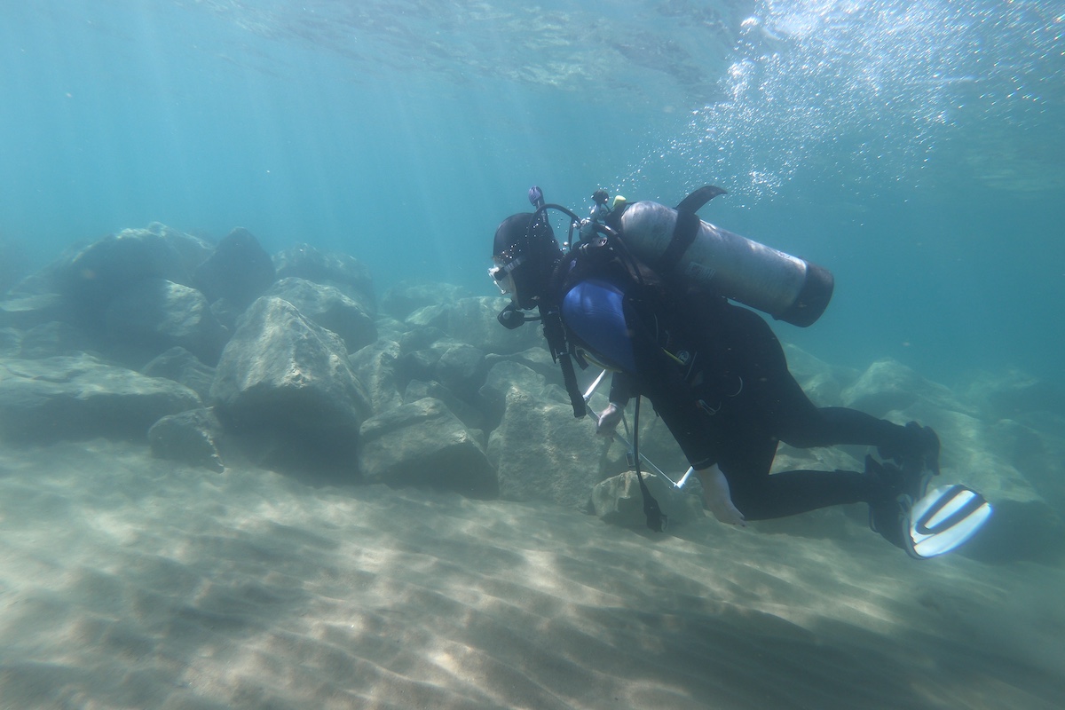 A diver is pictured along the bottom of Lake Michigan, where Illinois Natural History Survey's biological station has implemented an artificial reef of rocks and piled materials.