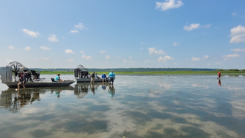 Two airboats float on a wetland. A group of wading researchers review submerged aquatic vegetation. In the background is a horizon line of trees against a bright blue sky with small wispy clouds interspersed throughout.