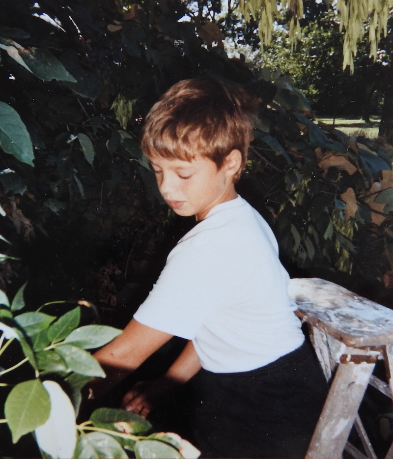 A young boy stands on a ladder while playing near a tree. In the background is a sun dappled lawn.