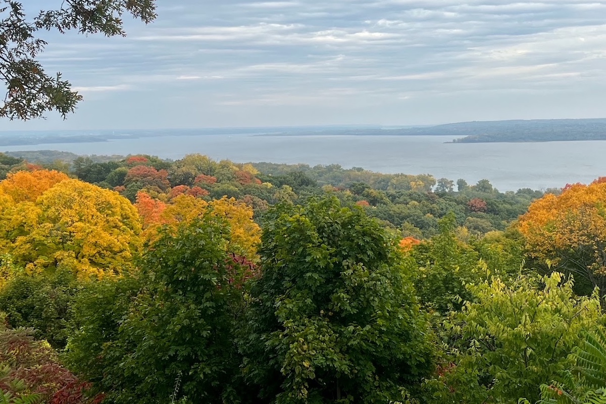 A sweeping view overlooking a large river. In the foreground are trees in autumn colors. In the background is a distant foggy shoreline with trees. A cloudy overcast sky is above.