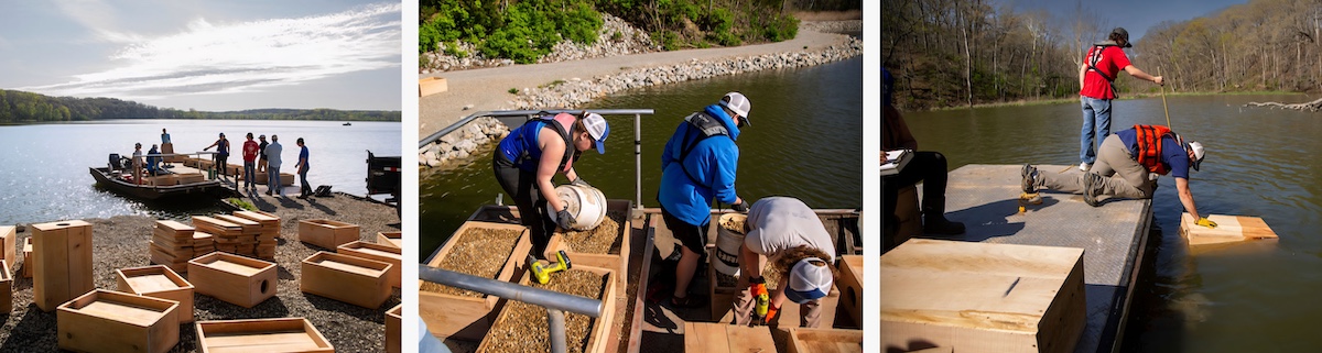A collage of three photos. The photo on the left shows people loading wooden boxes on to a metal boat on a fresh water lake. The middle photo shows people placing gravel on top of the wooden boxes loaded on the boat. The photo on the right shows two people installing a wooden box in the freshwater lake.