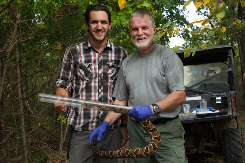 Two researchers pose while one holds up a large tan and brown snake. The snake is partially contained in one clear plastic pipe to protect the researchers from potential bites. In the background is an ATV parked on a dirt trail in a woodland.