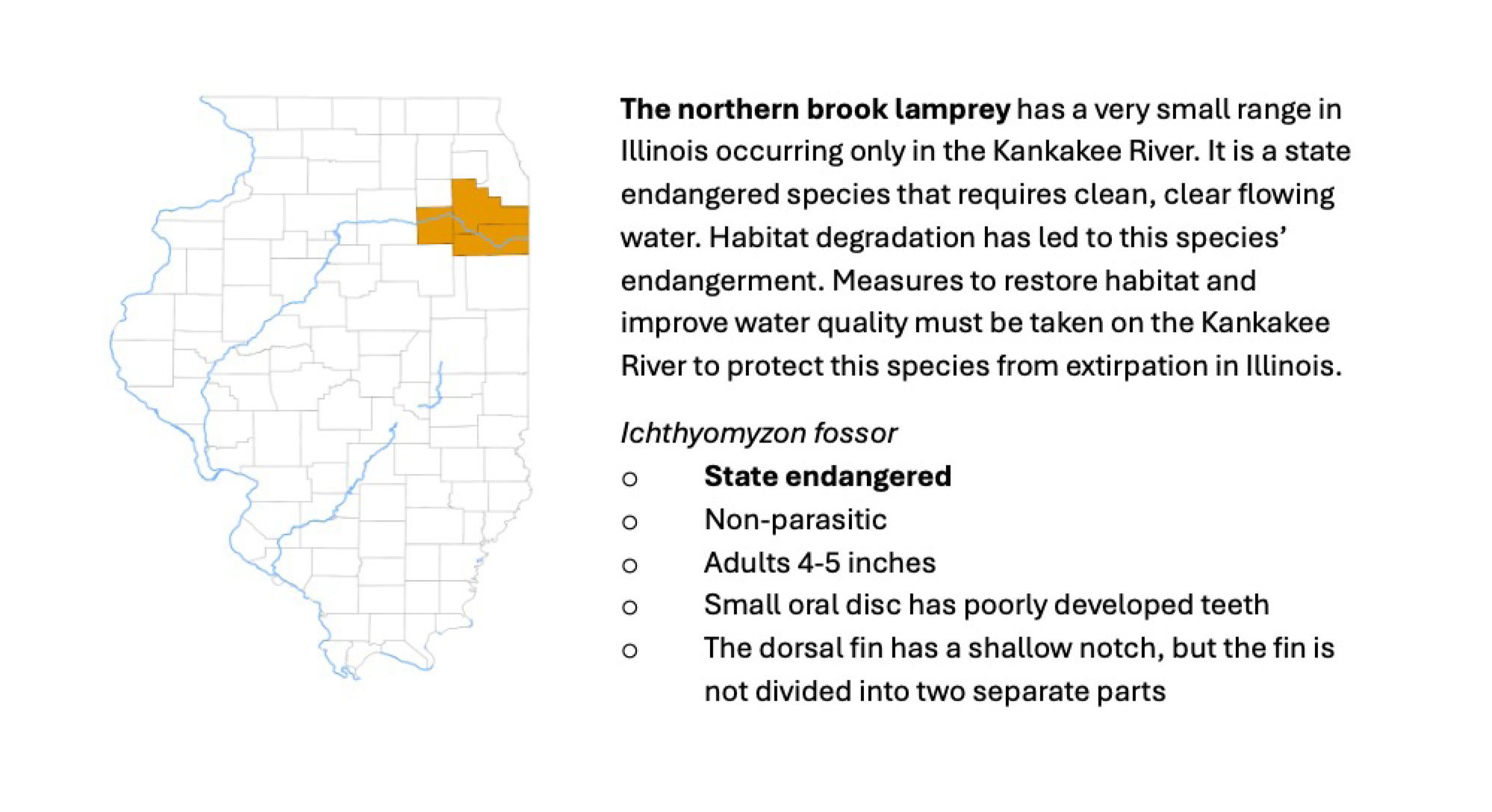 The map of the state of Illinois indicating that the Northern Brook Lamprey fish has a very small range in Illinois occurring only in the Kankakee River. It is a state endangered species that requires clean, clear flowing water. Habitat degradation has led to this species endangerment. Measures to restore the habitat and improve water quality must be taken on the Kankakee River to protect this species from extirpation in Illinois.