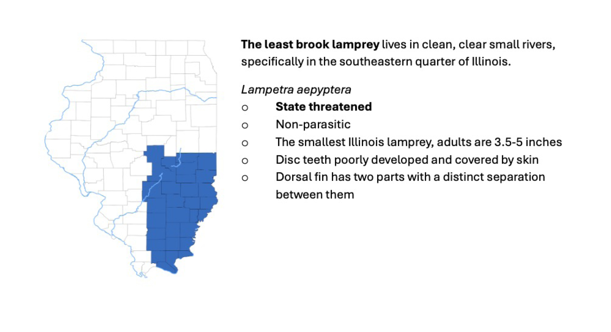 A map of the state of Illinois indicating that the Least Brook Lamprey fish lives in clean, clear small rivers, specifically in the southeastern quarter of Illinois.