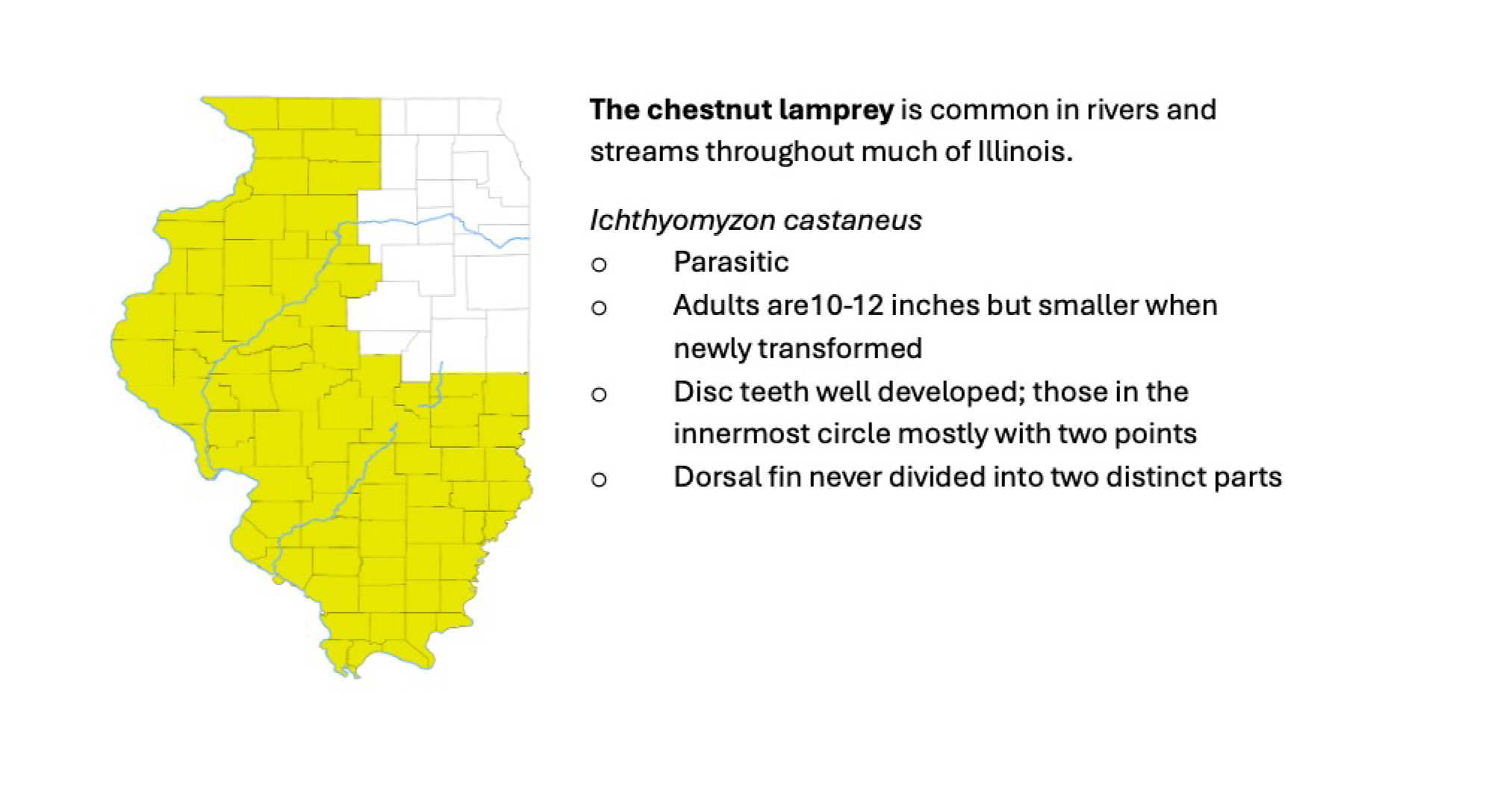 A map of the state of Illinois indicating the Chestnut Lamprey fish is common in rivers and streams throughout much of Illinois.