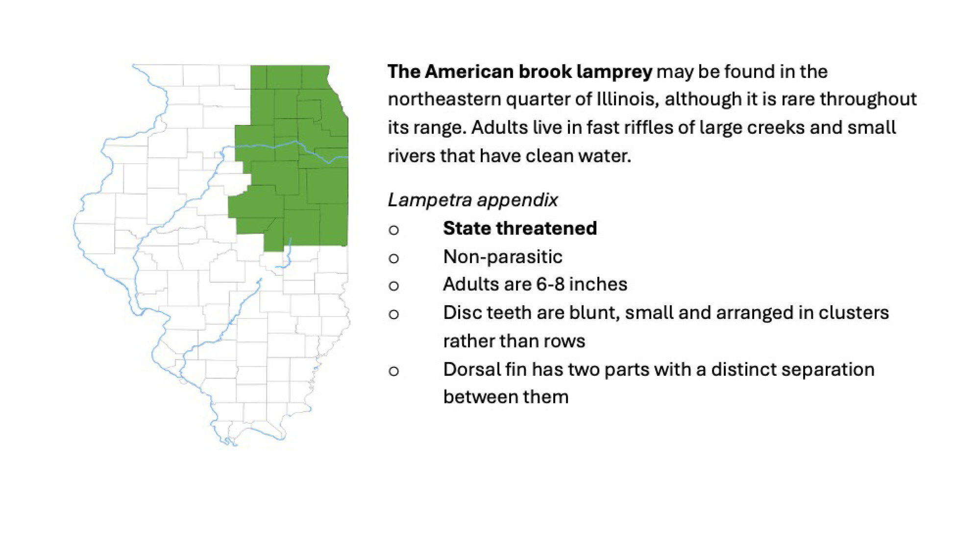 A map of the state of Illinois indicating the American Brook Lamprey may be found in the northeastern quarter of Illinois although it is rare throughout its range. Adults live in fast riffles of large creeks and small rivers that have clean water.