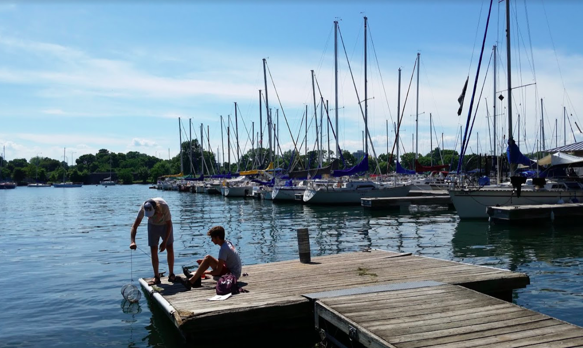 In a marina with large sail boats docked, two young men place net traps for crayfish off the side of a wooden dock in Lake Michigan Harbor.