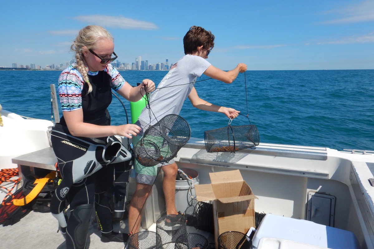 Two people stand in a boat offshore from Chicago in Lake Michigan. The individuals hold up small net traps to catch crayfish. The Chicago skyline is on the horizon line in the far distance. A bright blue sky is overhead.