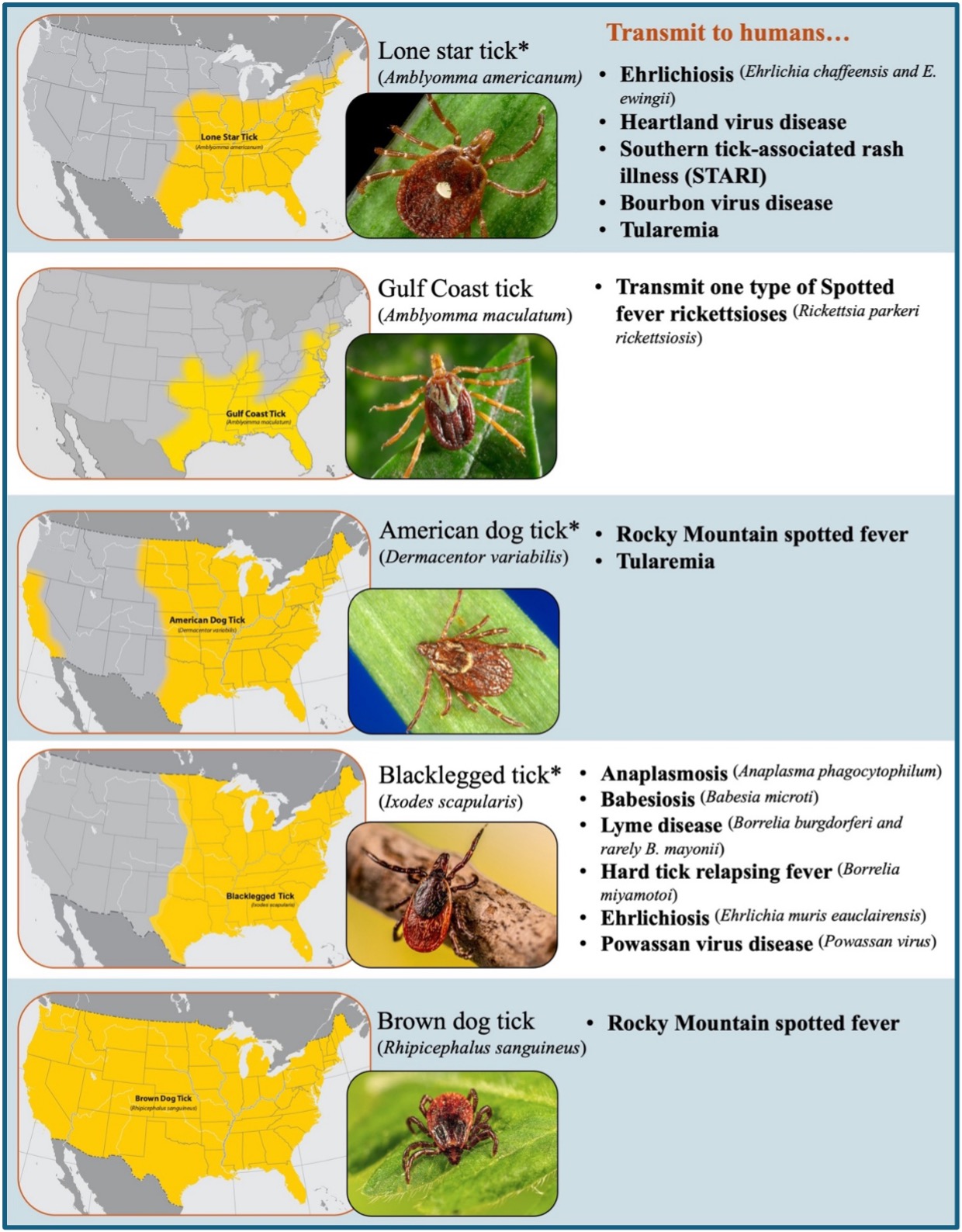 A chart showing different ticks that can potentially transmit diseases and their range in the United States. 