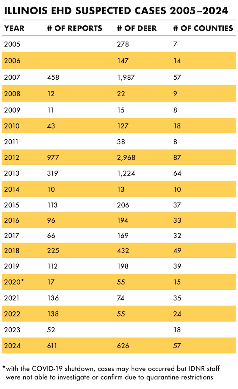 A yellow and white table indicating the numbers of suspected Epizootic Hemorrhagic Disease cases in Illinois from 2005 to 2024. 