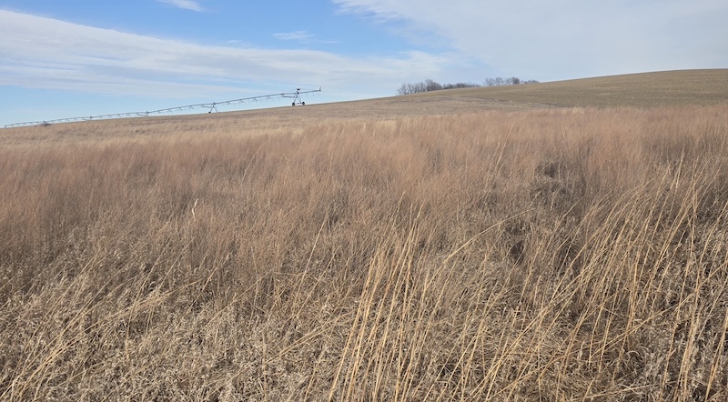 A fallow agricultural field on a hillside rises from a grassland in winter. A partly cloudy sky is overhead.