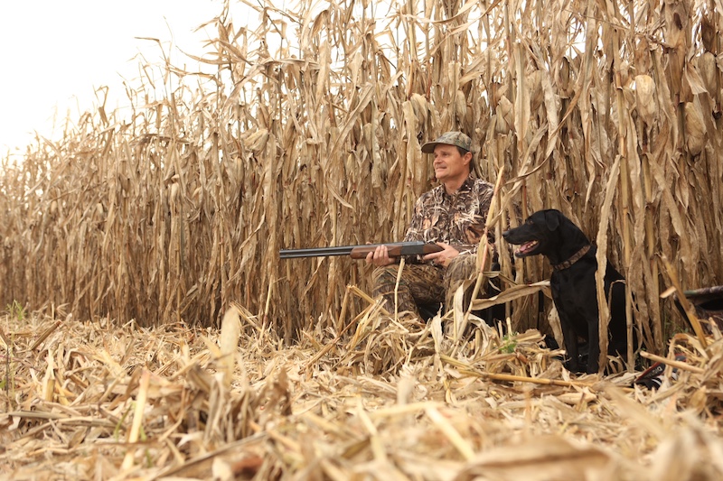 A hunter in camouflage gear sits holding his shotgun on the edge of a partially harvested cornfield. A black hunting dog sits next to the hunter.