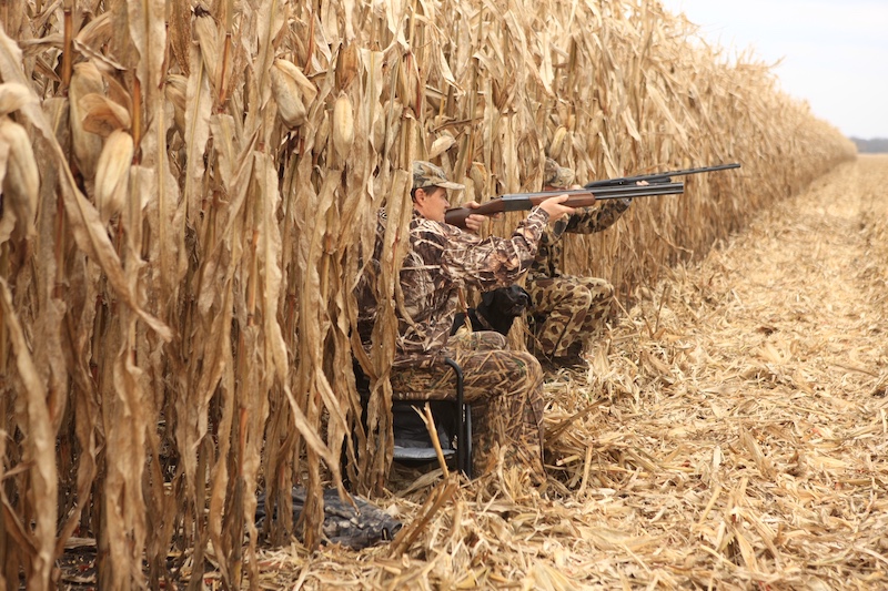Two hunters in camouflage gear sit on the edge of a partially harvested cornfield and aim shotguns towards the right. A black hunting dog sits in between the hunters.