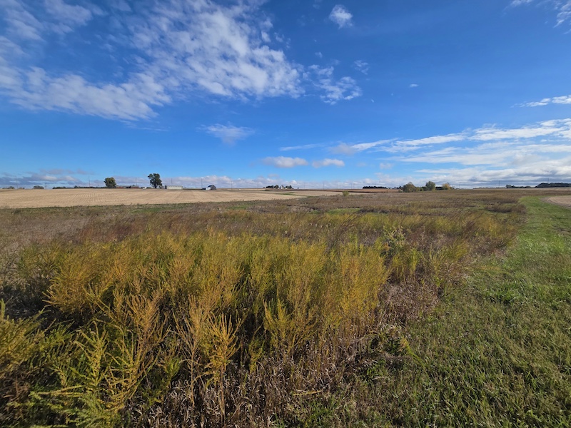 Agricultural fields rest under a bright blue partly cloudy sky. In the foreground is a grassy patch bordering a harvested agricultural field.