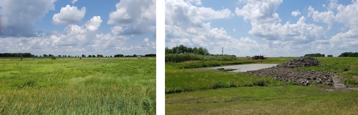 A photo collage of two images side-by-side. The image on the left is of a grassy field with trees long the horizon line. The photo on the right is of a wetland under construction with some water in a depression in a field. A pile of earth is to the right. Both images have bright blue partly cloudy skies.