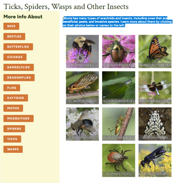 A screenshot of the Ticks, Spiders, Wasps and Other Insects page on Wildlife Illinois found at: https://wildlifeillinois.org/ticks-mosquitoes-bees-and-wasps/