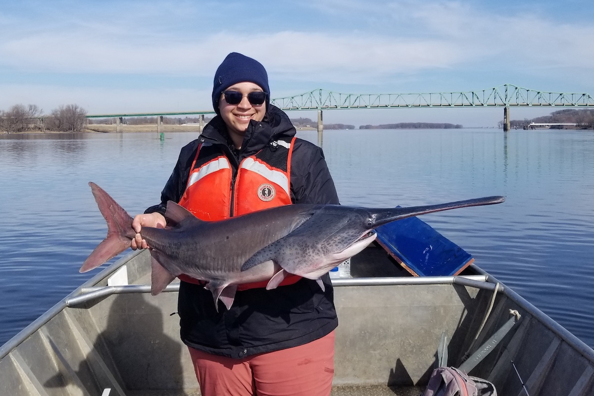 A researcher holds up a large fish with a long nose. She holds the fish with both hands while standing up in a boat on a large river. In the background a road crosses the river on a green bridge. A partly cloudy sky is overhead.