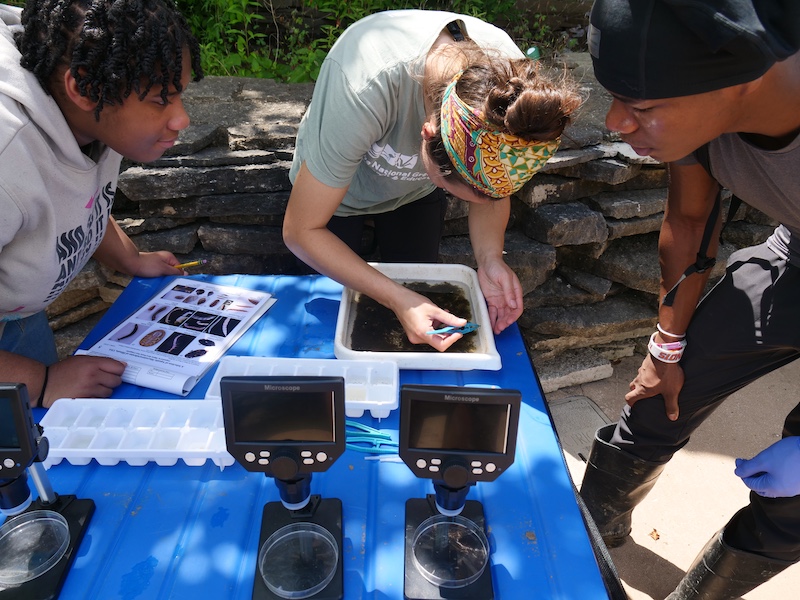 A scientist closely examines a a macro invertebrate in a water sample while two students watch the process. In the background is a rocky ledge.