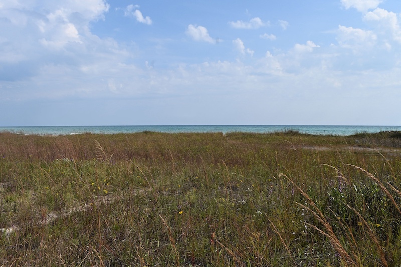 A view of a lake against a bright blue sky with small fluffy clouds interspersed. In the foreground is a grassland with a path down to the water.