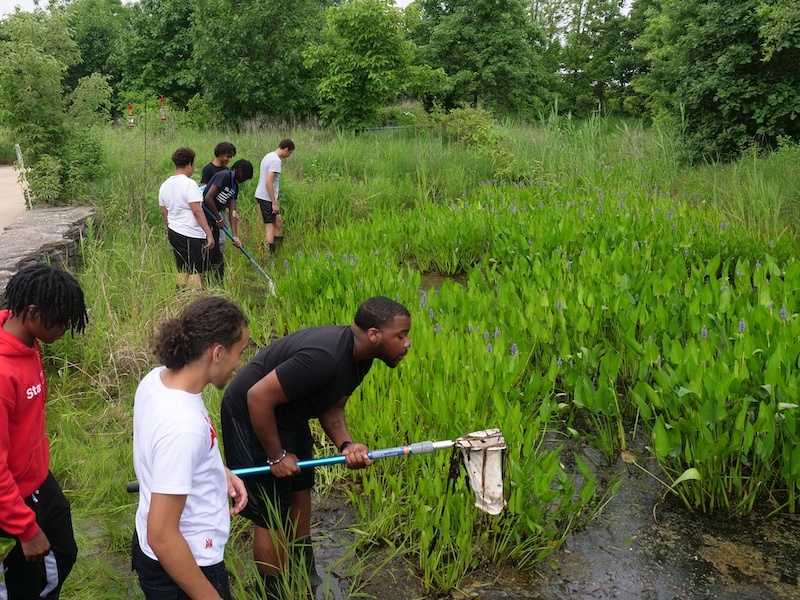 A group of students use drip nets to sample aquatic macro invertebrates at a wetland. Trees are in the background.