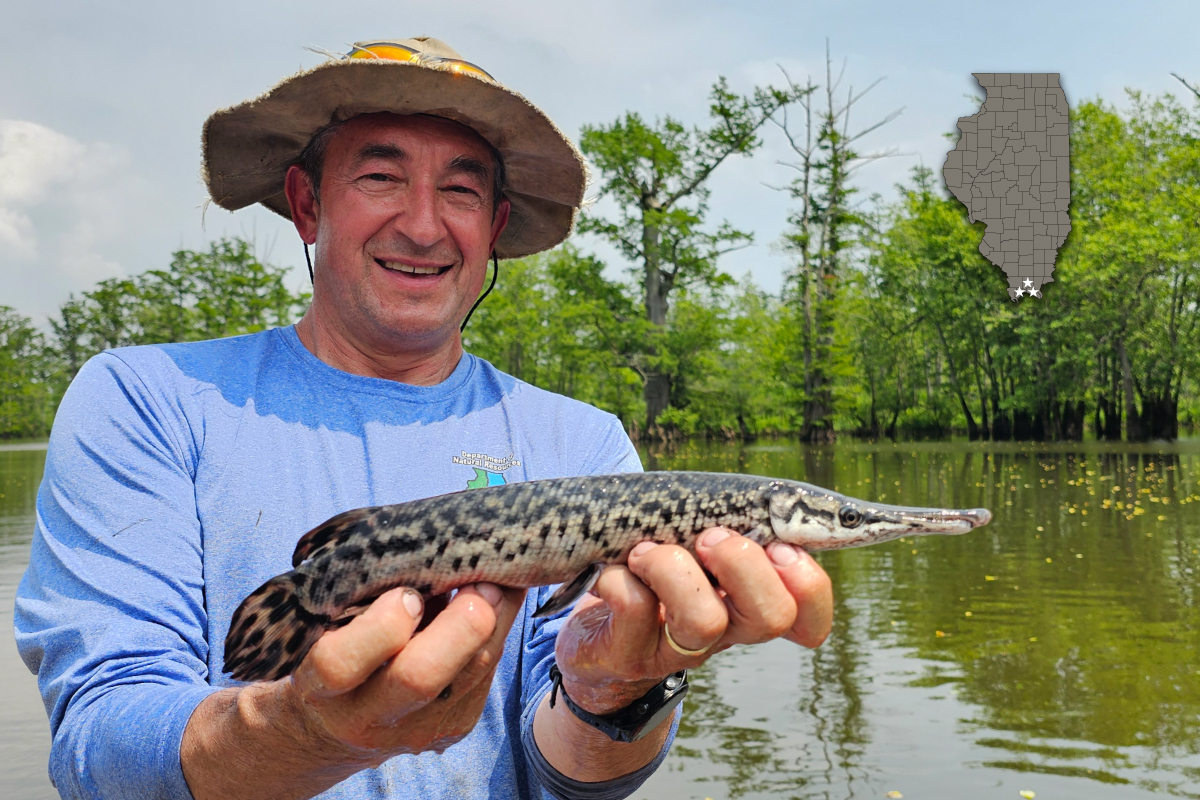 A man holds up a small black and tan mottled fish. In the background is a wetland with trees against a hazy blue sky. Overlaying the image in the upper right corner is a gray map of the state of Illinois with the counties outlined in black. Three white stars are located at the very bottom of the state.