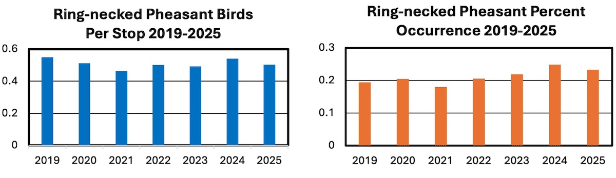 Two charts indicating the ring-necked pheasant birds per stop in 2019 to 2025, and ring-necked pheasant  percent occurrence in 2019 to 2025. 