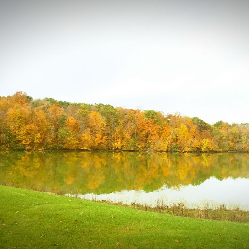 Trees in bright autumnal foliage fill a shoreline of a lake. On the surface of the lake, bright fall foliage is reflected. A green mowed lawn is in the foreground.