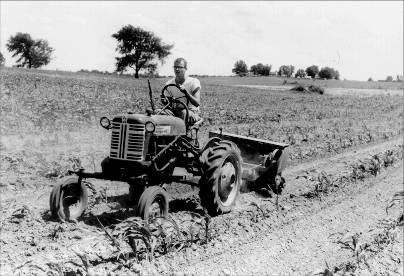 A black and white historic photo of a man driving a tractor in a cornfield. In the background are a few scattered trees.