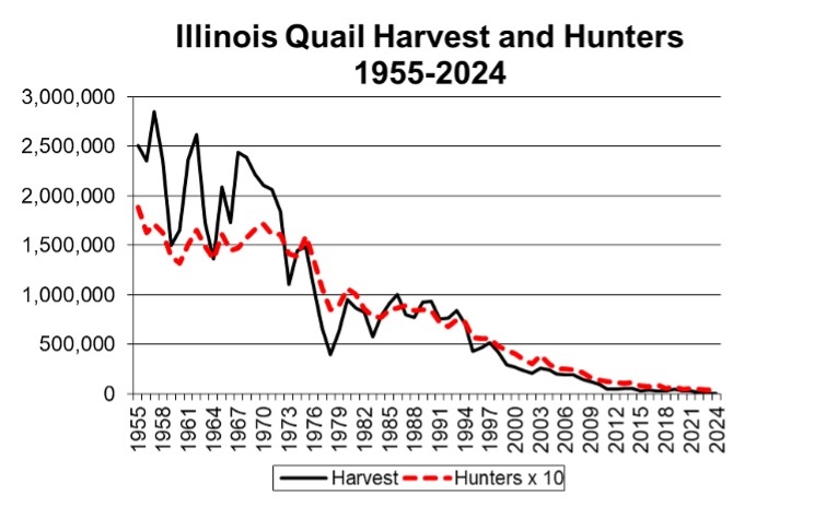 A chart showing the decline of Illinois quail harvest and hunters from 1955 to 2024.