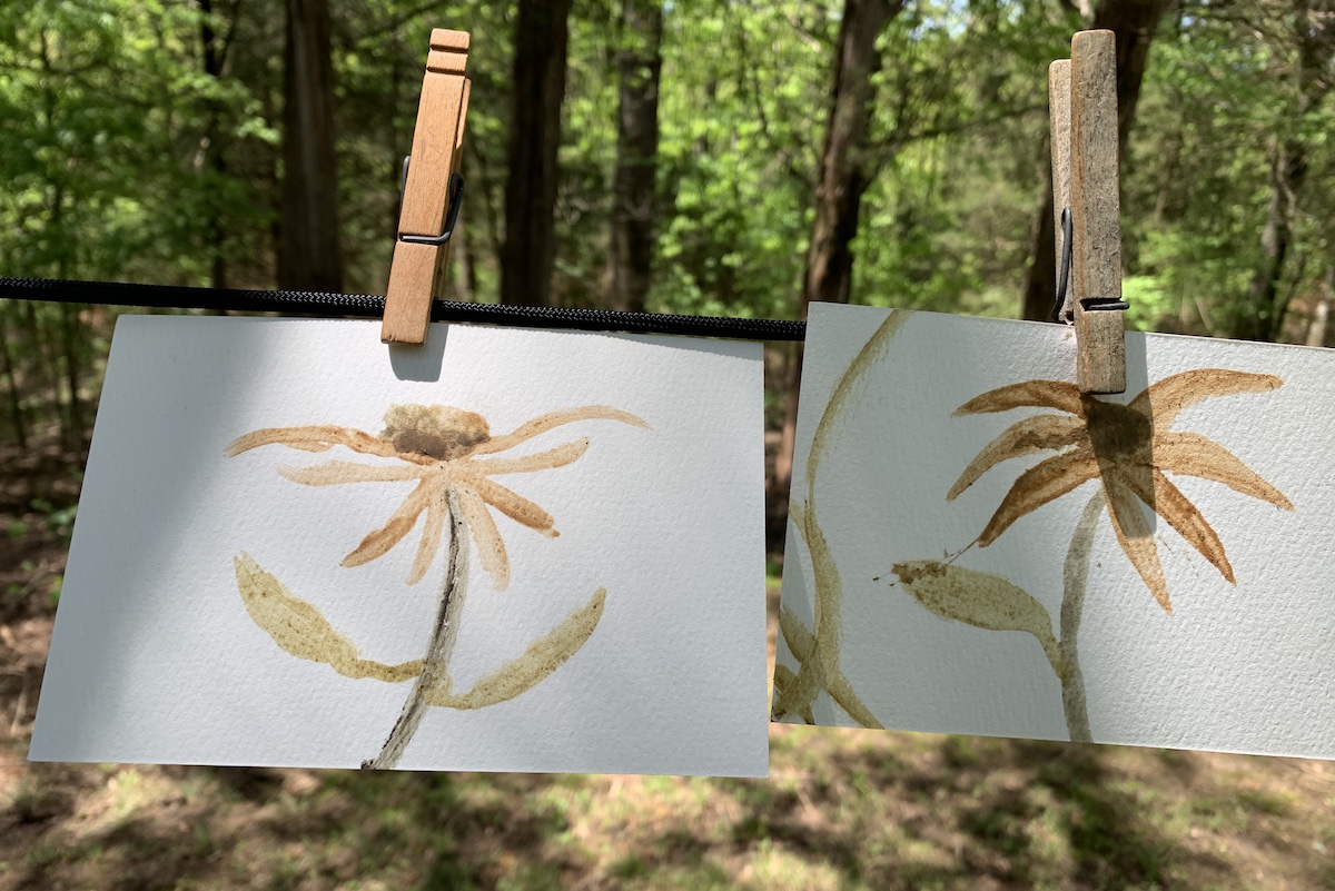In a grassy area in a forest, sunlight streams down from the canopy and rests on two pieces of paper hung on a line by clothespins. A flower has been painted on each piece of paper.