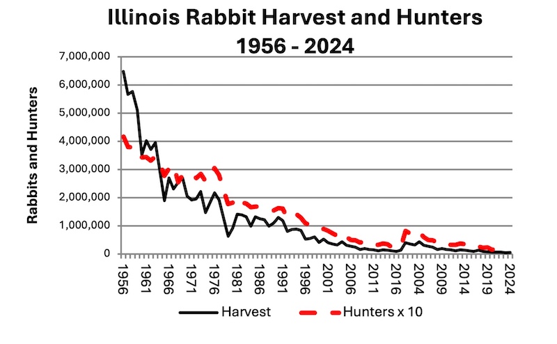 A chart showing the decline of Illinois rabbit harvest and hunters from 1956 to 2024.