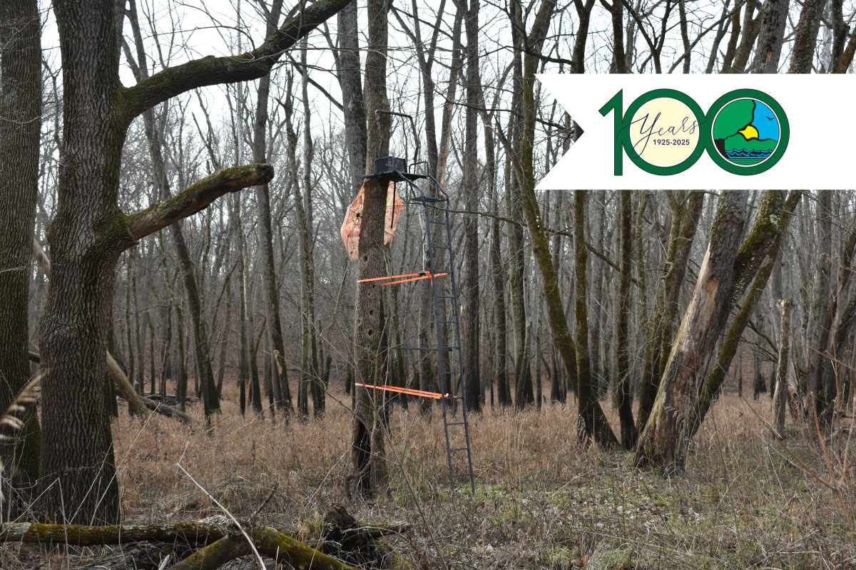 A wooded bottomland during winter. A tree-stand is installed a on a tree in the foreground. Overlapping the photo in the top right is the Illinois Department of Natural Resources 100th Anniversary Celebratory logo.