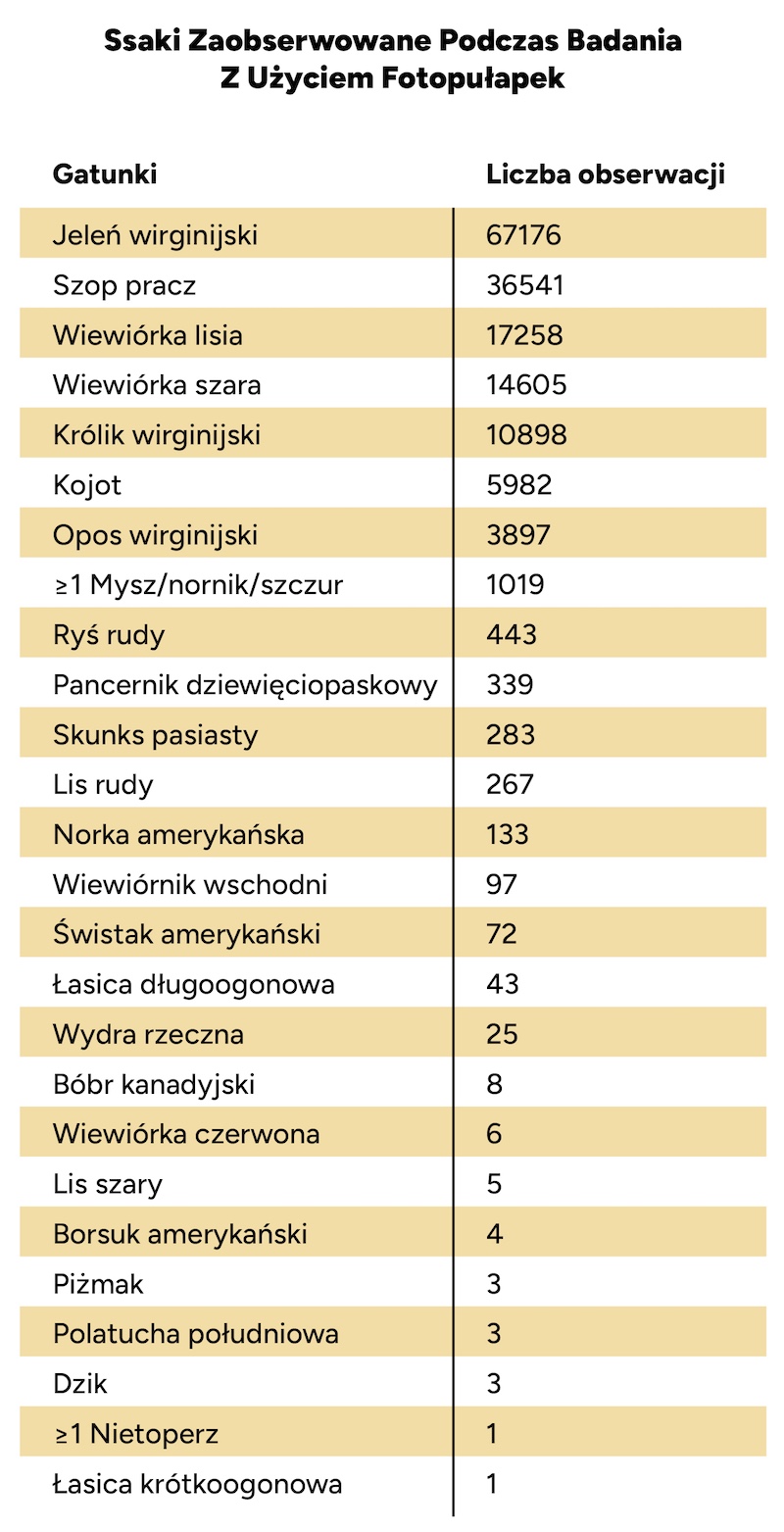 A table of 26 species of mammals caught on camera, and how many times they were photographed.