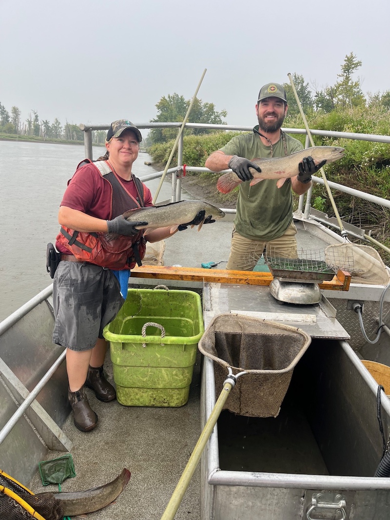 On a rainy day, two biologists stand in a boat floating along the shoreline of a river. Each biologist holds up a large fish with both hands in front of their torsos.