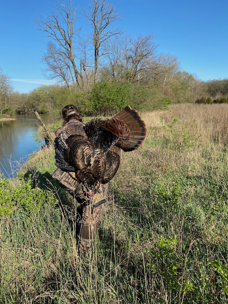 One hunter wearing camouflage gear carries a successfully harvested turkey on his back while walking along the edge of a river and a grassy field. A bright blue sky is overhead.