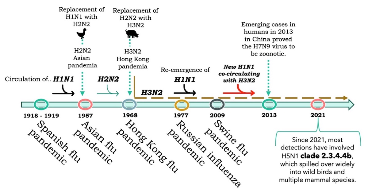 A graphic of the evolution timeline of the Influenza A virus and the recent pandemic affecting humans.