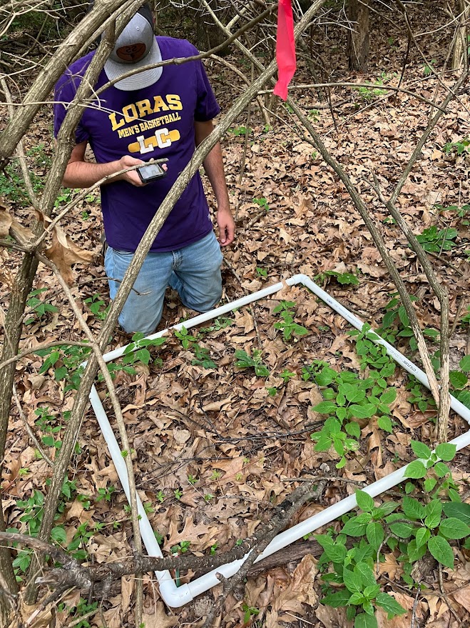 A researcher conducts plant surveys on a forest floor.