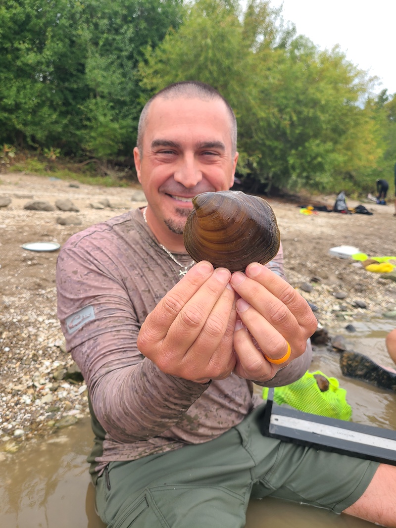 A man sitting in sandy shoreline of a river holds up a freshwater mussel with both hands. In the background are green shrubs and willow trees. Other researchers on off to the right, and supplies are on the river bank.