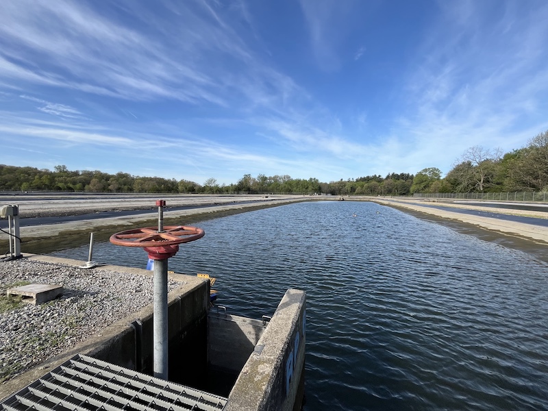 A bright blue sky is reflected in the waters of a fish hatchery pond. In the foreground is a wheel that controls a gate value that opens to drain the pond. It makes it easier to remove fish from the pond with nets.