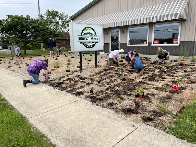A group of people installing butterfly habitat in a plot of land in front of a business. The people are planting native seedlings in-between the business and the sidewalk. A sign with the words, "Bike & Hike," is in the middle of the butterfly habitat.