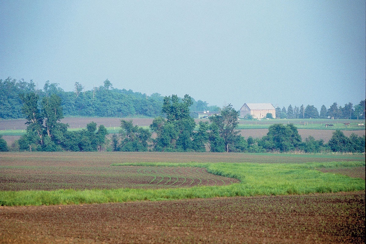 A rural landscape with a barn in the background and fencerows lined with green leafy trees. In the foreground are agricultural fields with young green seedlings underneath a developing rainy sky.