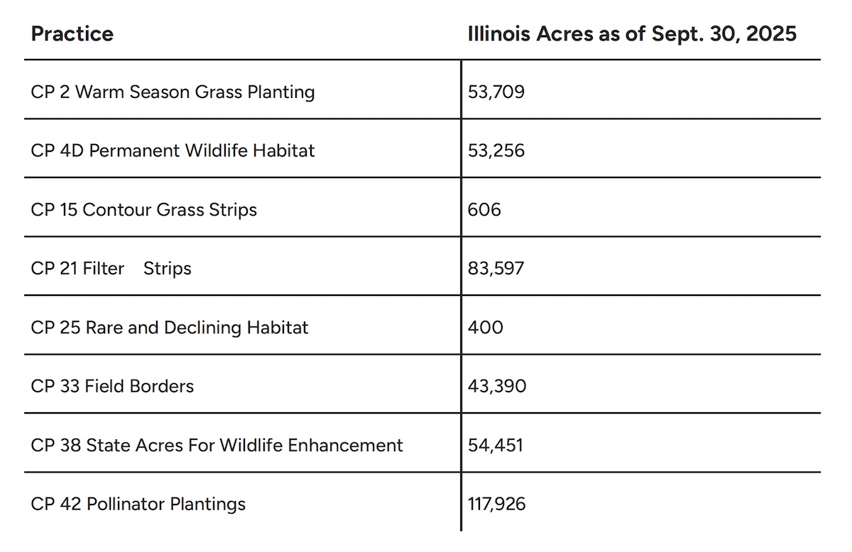 A table that shows a list of conservation practices that have the greatest potential of providing nest cover or brood habitat for bobwhite. The list of practices are on the left and the amount of acreage in Illinois as of Sept 30, 2025 is on the right. The practices and acreage is as follow: CP 2 Warm Season Grass Planting, 53,709 acres; 
CP 4D Permanent Wildlife Habitat, 53,256 acres; CP 15 Contour Grass Strips, 606 acres; CP 21 Filter Strips, 83,597 acres; CP 25 Rare and Declining Habitat, 400 acres; CP 33 Field Borders, 43,390 acres; CP 38 State Acres For Wildlife Enhancement, 54,451 acres; CP 42 Pollinator Plantings, 117,926 acres
