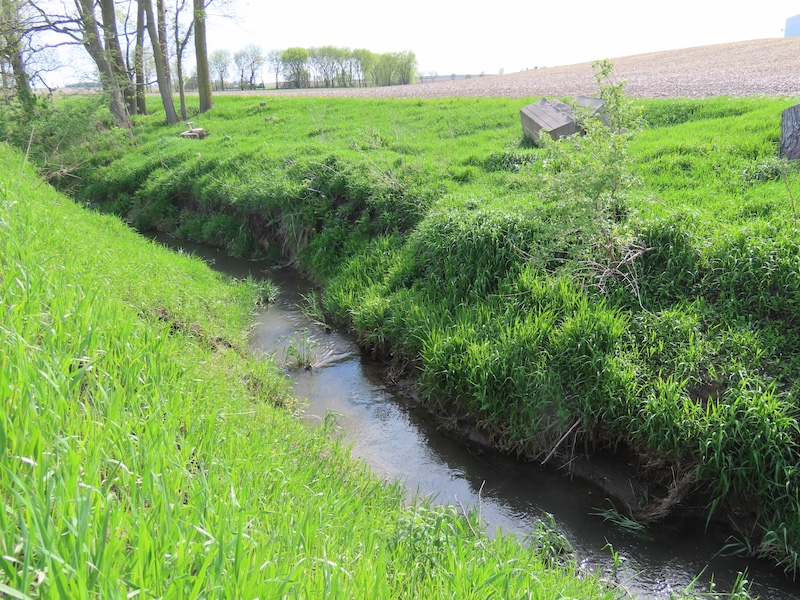 A drainage ditch runs in-between two agricultural fields. Green grass and trees are on either side of the ditch. Agricultural fields are in the background.