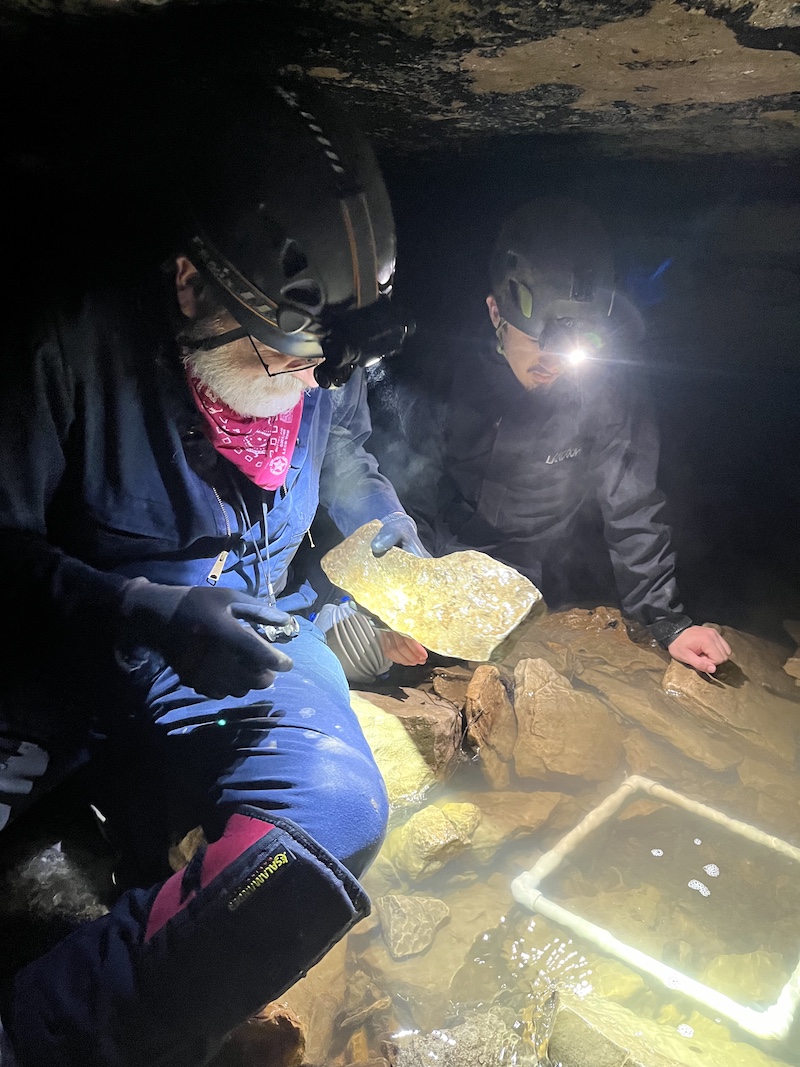 Two biologists collect samples in a cave stream.