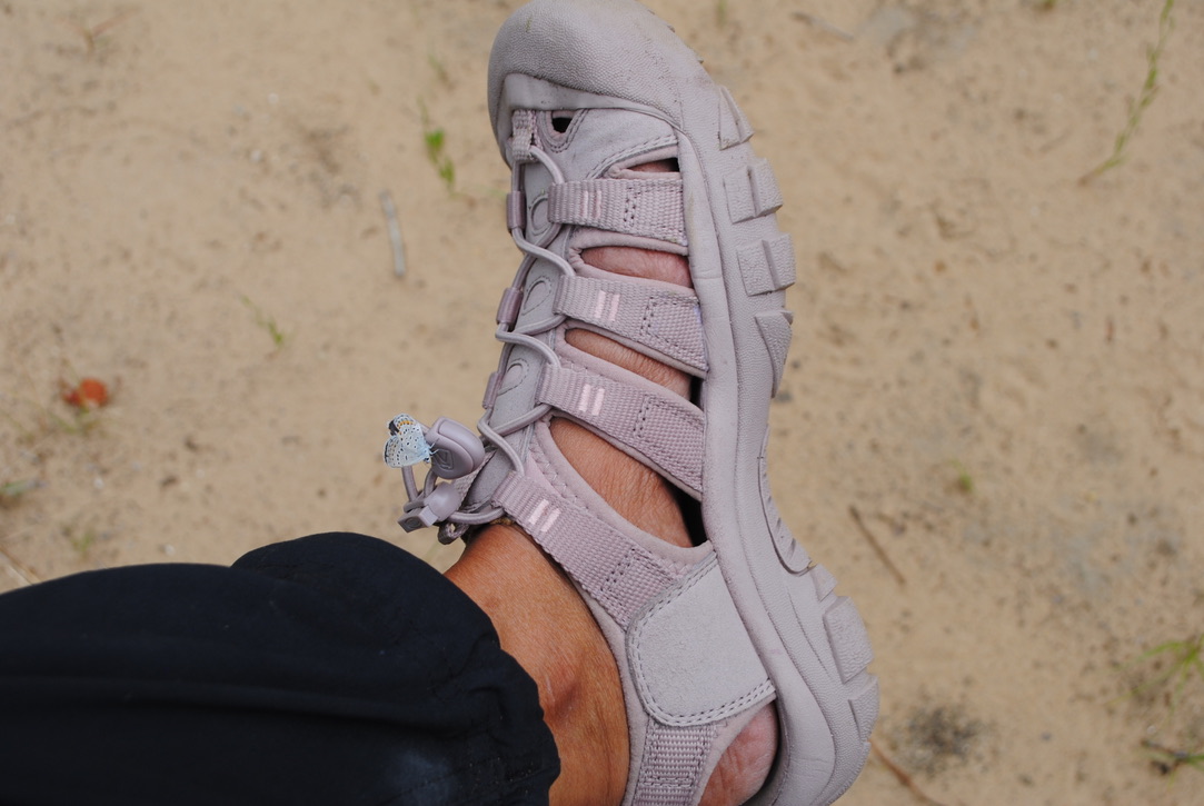 A close-up of a hiking sandal being worn by a hiker. A tiny light blue butterfly with black and orange dots on its wings rests on the sandal. In the background is tan sandy soil.