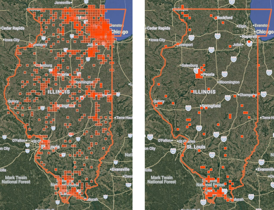 A graphic showing two maps of the state of Illinois side-by-side. The map on the right is indicating different locations of observations of raccoons throughout the state. The map on the right shows different locations of observations of bobcats throughout the state.