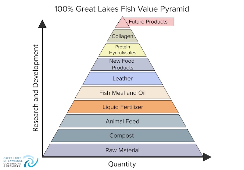 A graphic showing great lakes fish value of different 100% uses.
