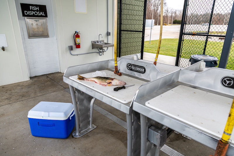 Stainless steel counters with cutting boards are installed under a pavilion for the general public to use as fish cleaning stations. In the background is a parking lot.