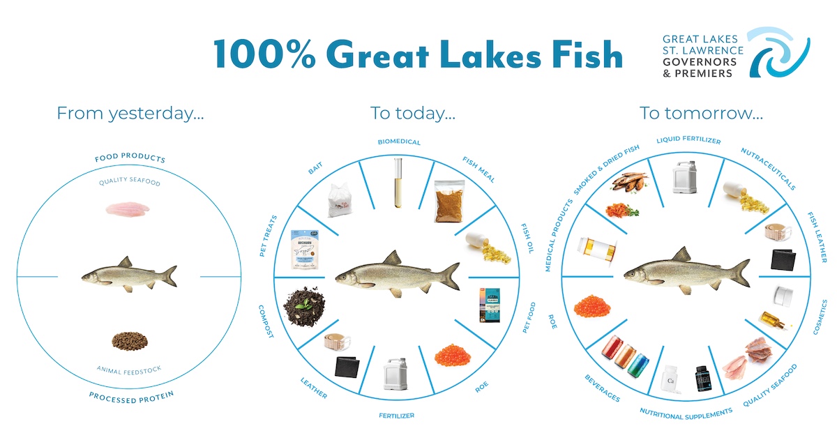 A graphic showing three circles. The circle on the left shows products produced from fish in the past, the middle circle shows fish products created today, and the circle on the right shows products that will be created in the future from fish.