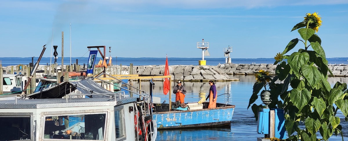 A view of a marina on a lake where fishing boats are docked. In the middle foreground two people stand in a fishing boat.